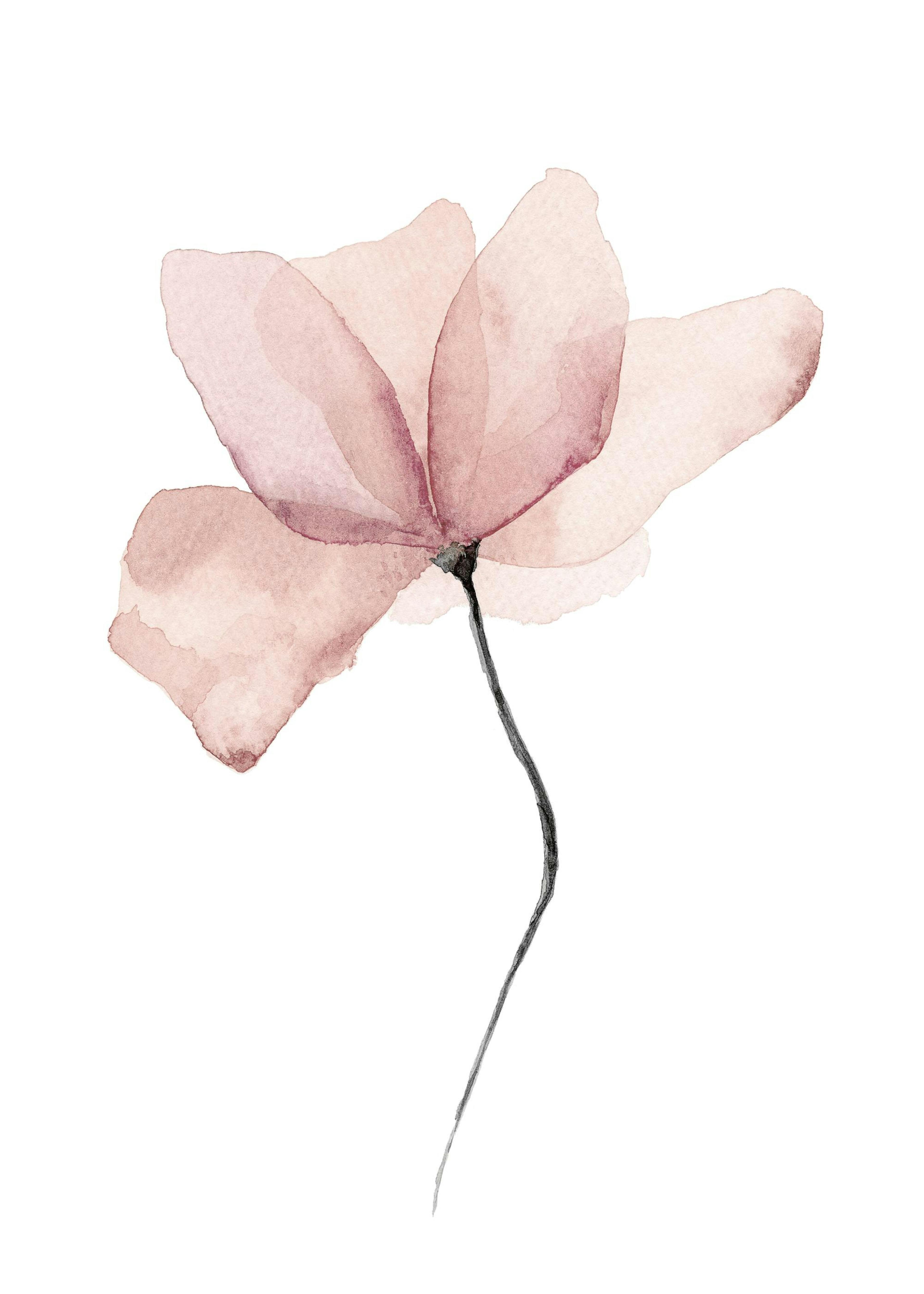 Akvarellposter med en rosa blomma, hängande på en rosa vägg med en turkos lampa och rosa kuddar.