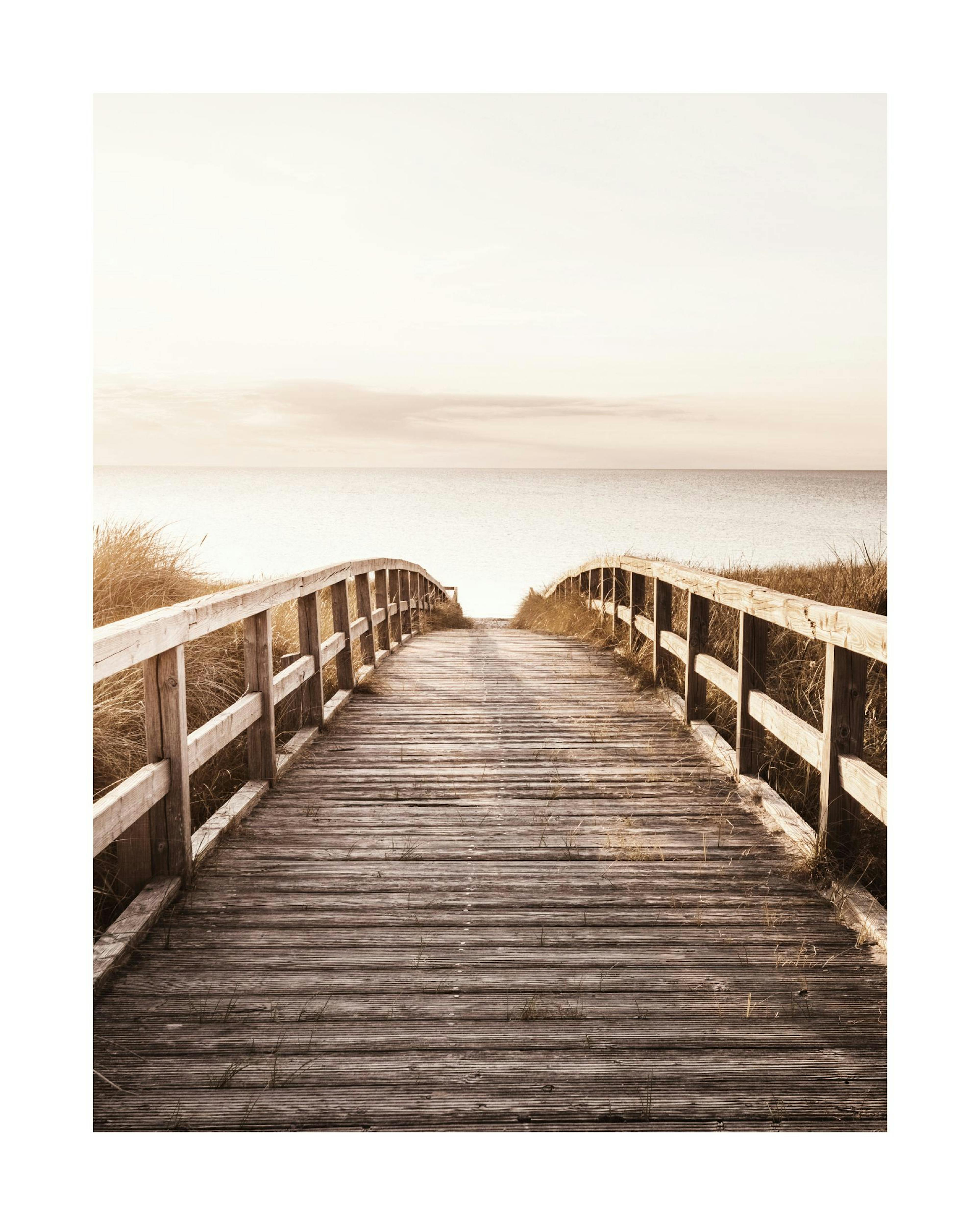 Camino Playa Póster 0