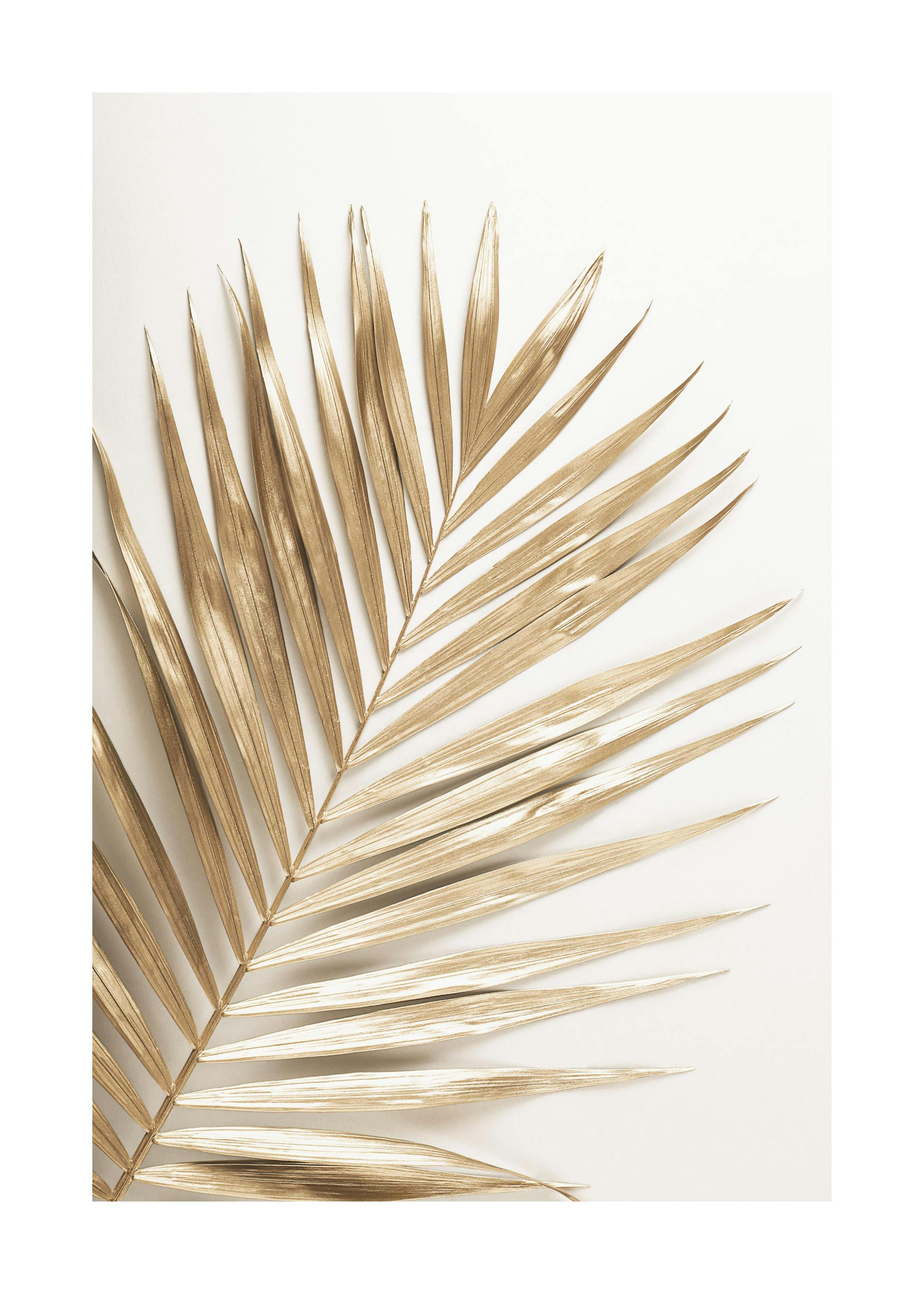 Palm i Guld Poster 0
