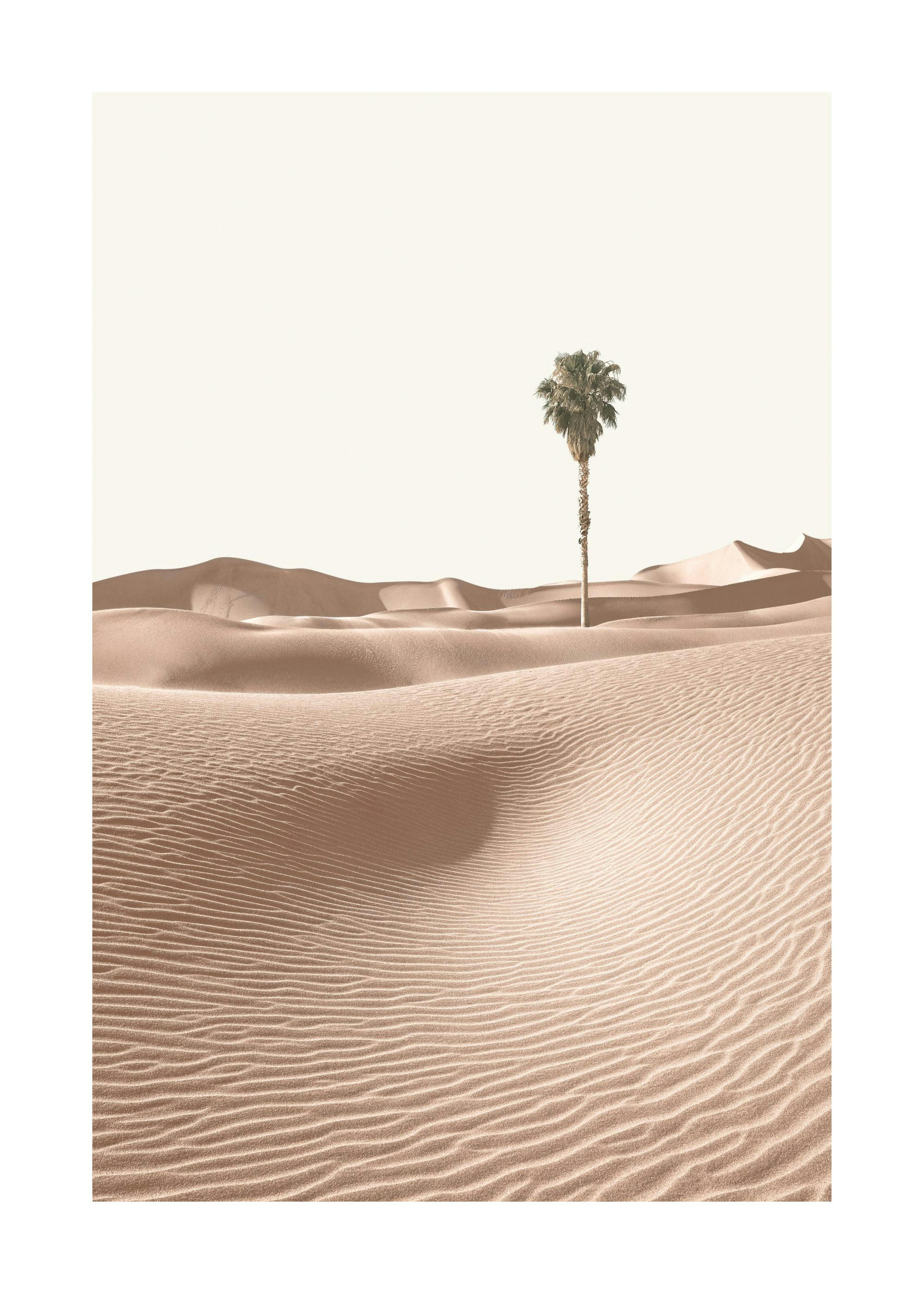 A desert landscape poster with sand dunes and a palm tree, hanging above a wooden desk with a lamp, cup, and open book.