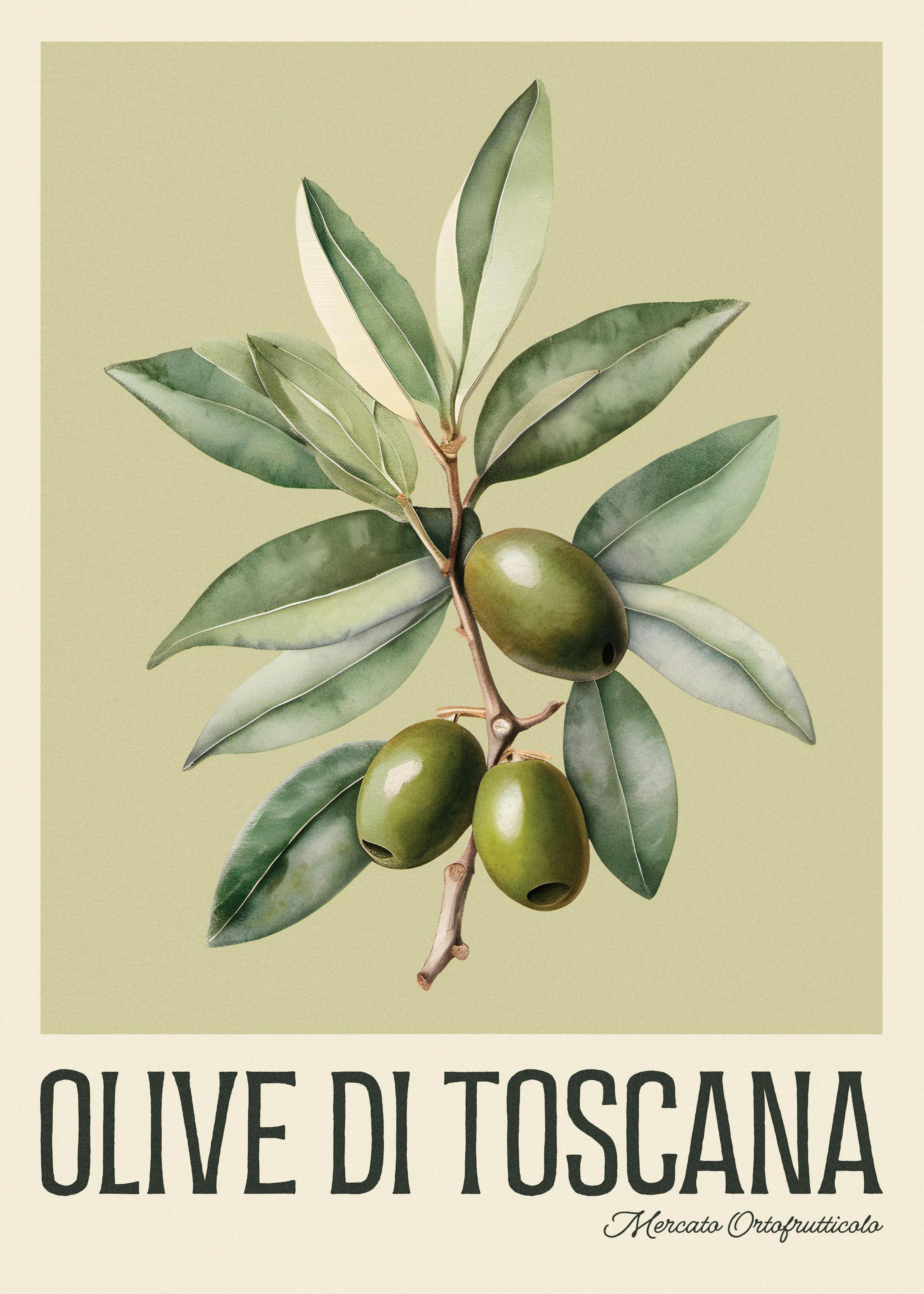 Toskańskie oliwki Plakat 0